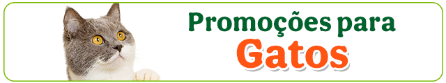 Promoções para Gato